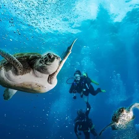 Margherita House Tenerife, Wonderful Ocean View